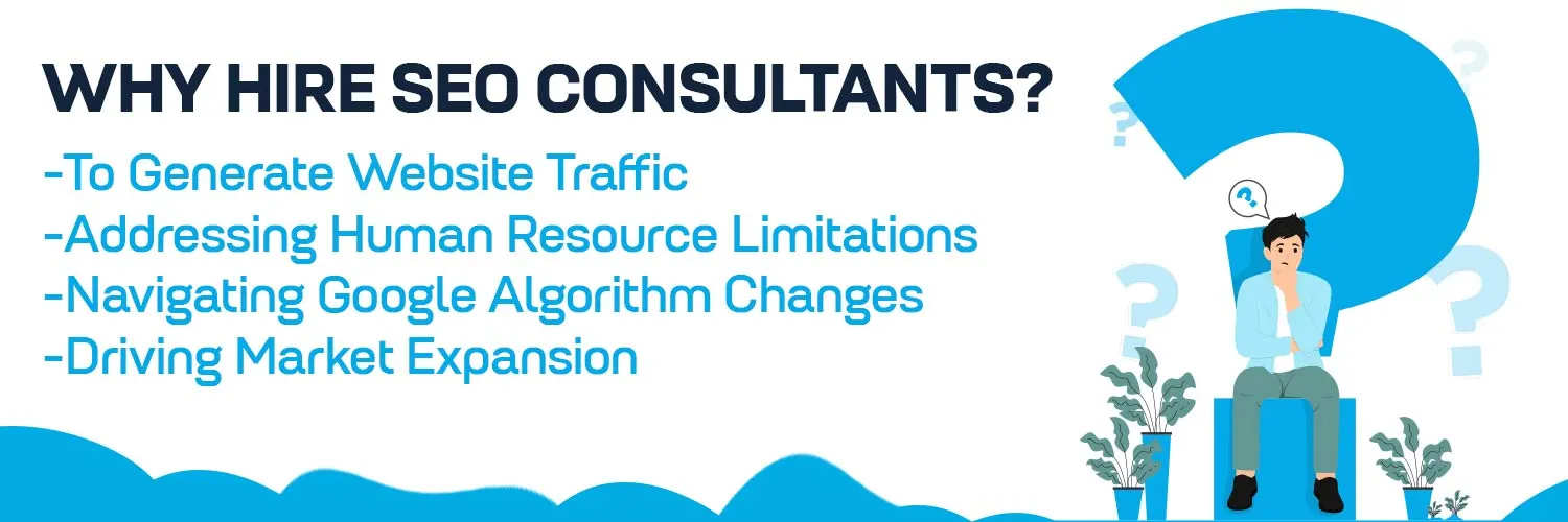 why hire seo consultant